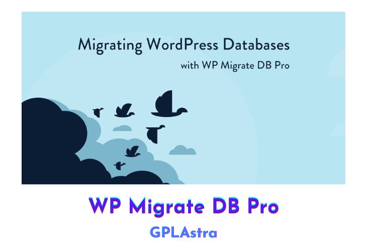 WP Migrate DB Pro Free Download