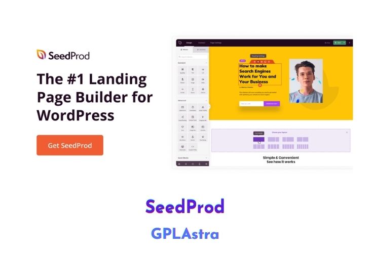 SeedProd Pro Free Download